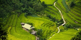 Jaka izolacja rur w ziemi?