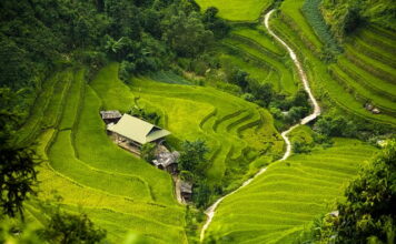 Jaka izolacja rur w ziemi?