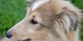 Jak zrobić podłużny otwór w drewnie?