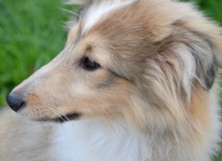 Jak zrobić podłużny otwór w drewnie?