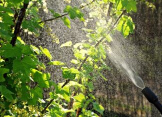 Ile oprysku na chwasty na 10 l wody? Ile oprysku na chwasty na 10 l wody?