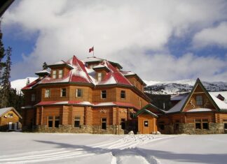 Ile czasu nosić ortezę na nadgarstku?