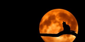 Co powinno być w domowym warsztacie?