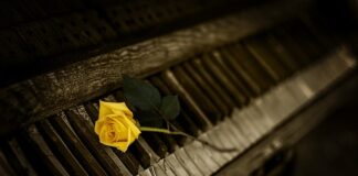 Jakie klucze płaskie do warsztatu?