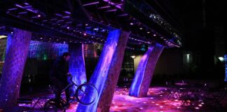 Jakie diody LED do uprawy roślin?