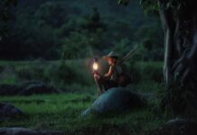 Co to jest lampa zespolona?