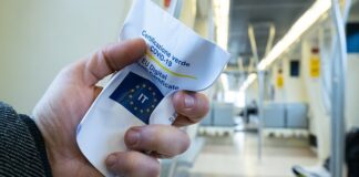 Jakie lampy do chlewni?