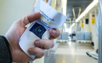 Jakie lampy do chlewni?