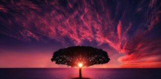 Jak zastąpić słońce w zimie?