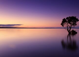 Ile wody na 1h oprysku?