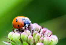 Ile punktów świetlnych w domu?