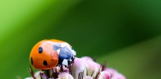 Ile punktów świetlnych w domu?