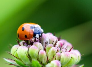 Ile punktów świetlnych w domu? Ile punktów świetlnych w domu?