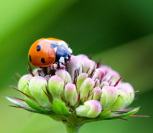 Ile punktów świetlnych w domu?