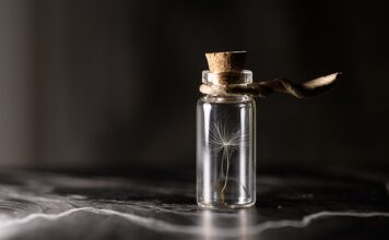 Ile sadzonek w doniczce? Ile sadzonek w doniczce?