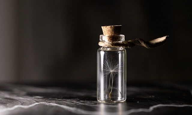 Ile sadzonek w doniczce?