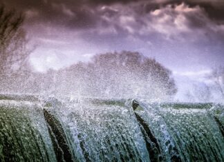 Z jakim ciśnieniem pryskać zboże?
