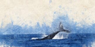 Czym zastąpić kit do okien?