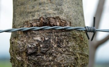 Czy da się Naostrzyć nóż o nóż?