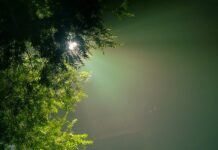 Jaka barwa światła na zewnątrz?