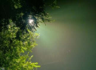 Jaka barwa światła na zewnątrz? Jaka barwa światła na zewnątrz?