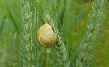 Jak uszczelnić skimmer?