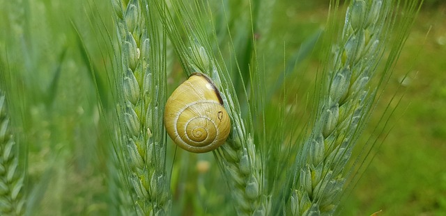 Jak uszczelnić skimmer? Jak uszczelnić skimmer?