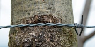 Jak naostrzyć otwornice?