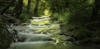 Jaką część strumienia świetlnego wysyłana jest w dół w oprawie oświetleniowej V klasy?