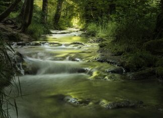 Jaką część strumienia świetlnego wysyłana jest w dół w oprawie oświetleniowej V klasy?
