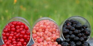 Co to jest stopień ochrony IP54?