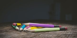 Z jakiego drewna robi się ołówki?