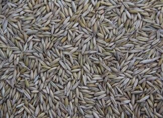 Kto produkuje narzędzia dla Lidla? Kto produkuje narzędzia dla Lidla?