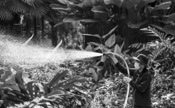 Jaki opryskiwacz spalinowy do ogrodu?