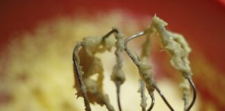 Jak działa mieszadło w opryskiwaczu?