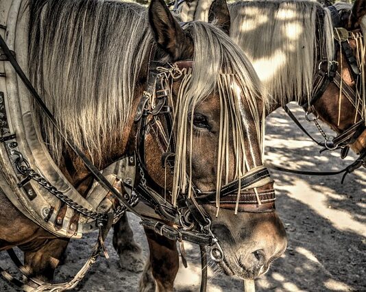 Jak założyć obejmę zaciskowa?