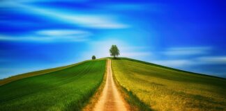 Czy chodzenie po schodach niszczy kolana?