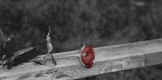 Z czego zrobić balustradę na taras?