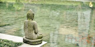 Ile kosztuje instalacja centralnego odkurzacza?