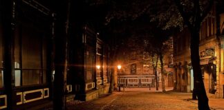 Jaka moc lampy UV do oczka wodnego?