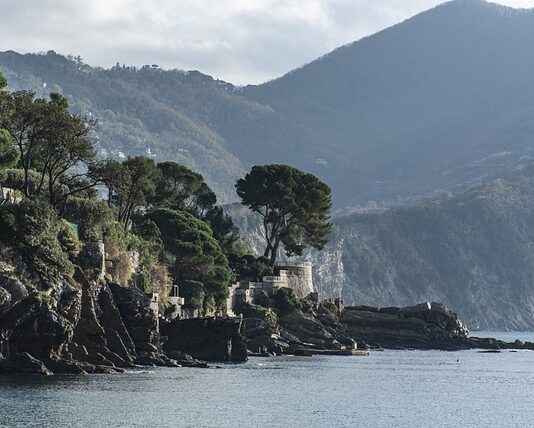 Ile kosztuje 1 Trytytka?