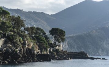 Ile kosztuje 1 godzina święcenia żarówki?