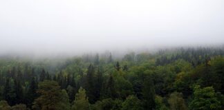 Jak zasłonić stary kaloryfer?