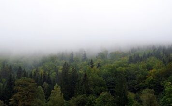 Jak zasłonić stary kaloryfer? Jak zasłonić stary kaloryfer?