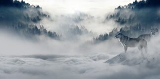 Czym zalać instalację co na zimę?