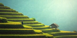 Co położyć na taras wylany betonem?