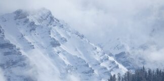 Co ile przegląd maszyn?