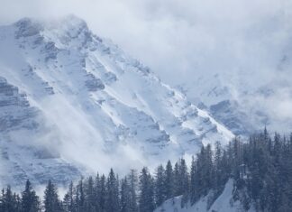 Co ile przegląd maszyn?